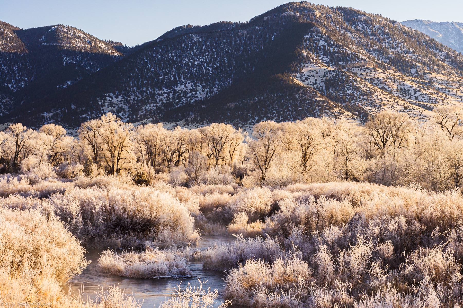 A photo of the Yellowstone River curving through a field of shrubs covered in ice illuminated yellow by the rising sun.