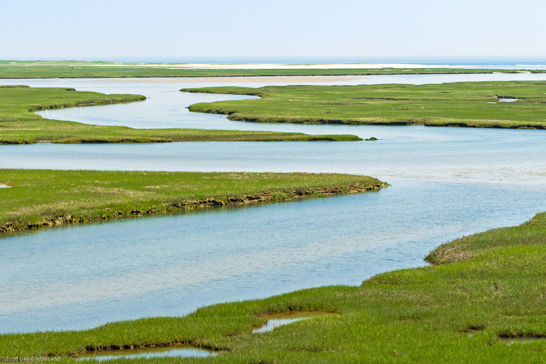 A photo of the tide waters of the ocean rising through the channels of the salt marsh at Fort Hill in the Cape Cod National Seashore