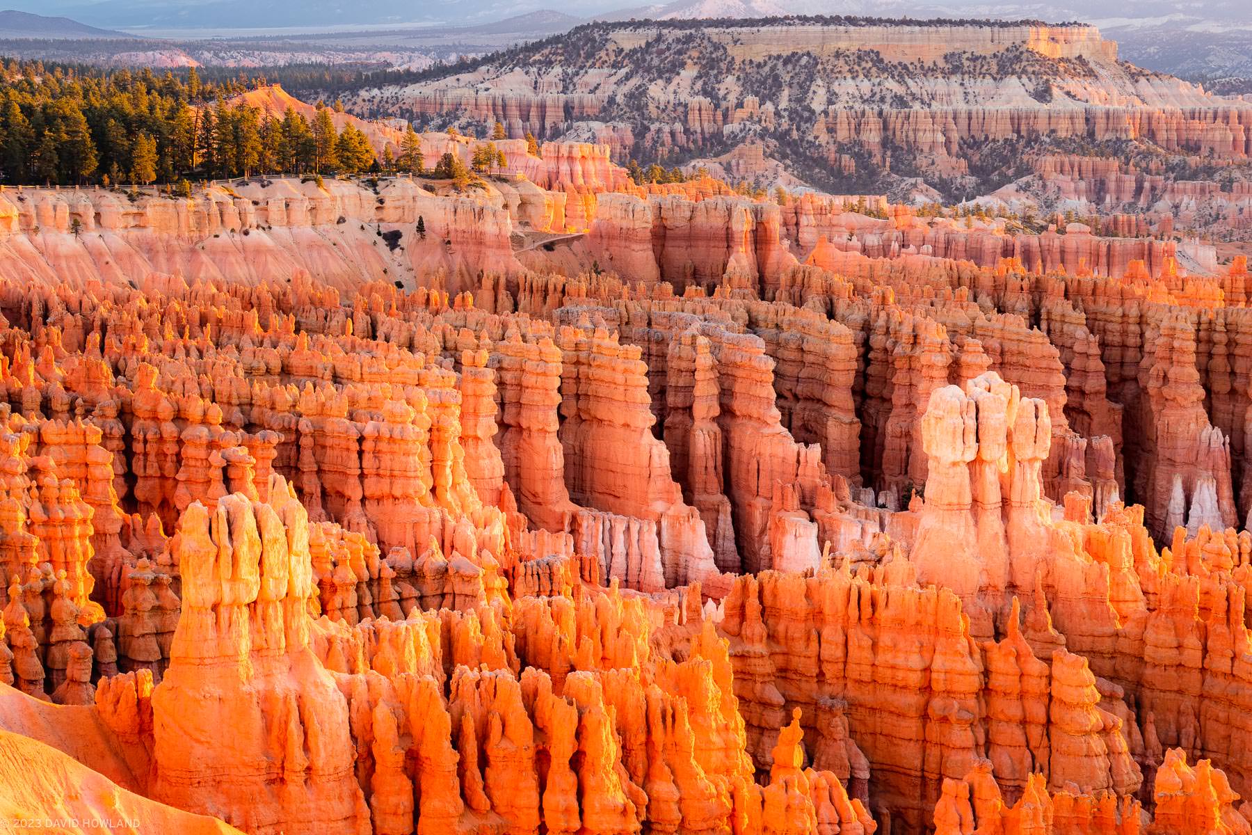 A photo of the hoodoo rock towers at Bryce Canyon National Park lit up bright orange at sunrise