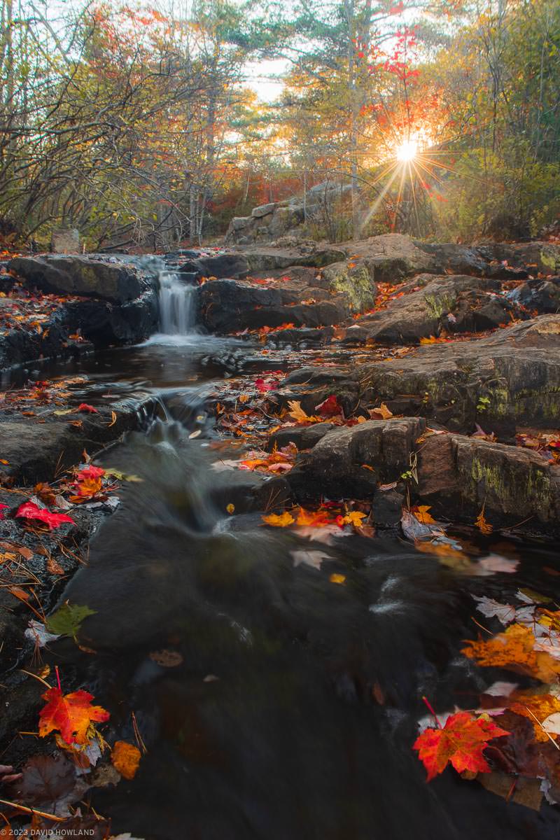 A photo of a waterfall in Acadia National Park at sunset covered in bright red leaves