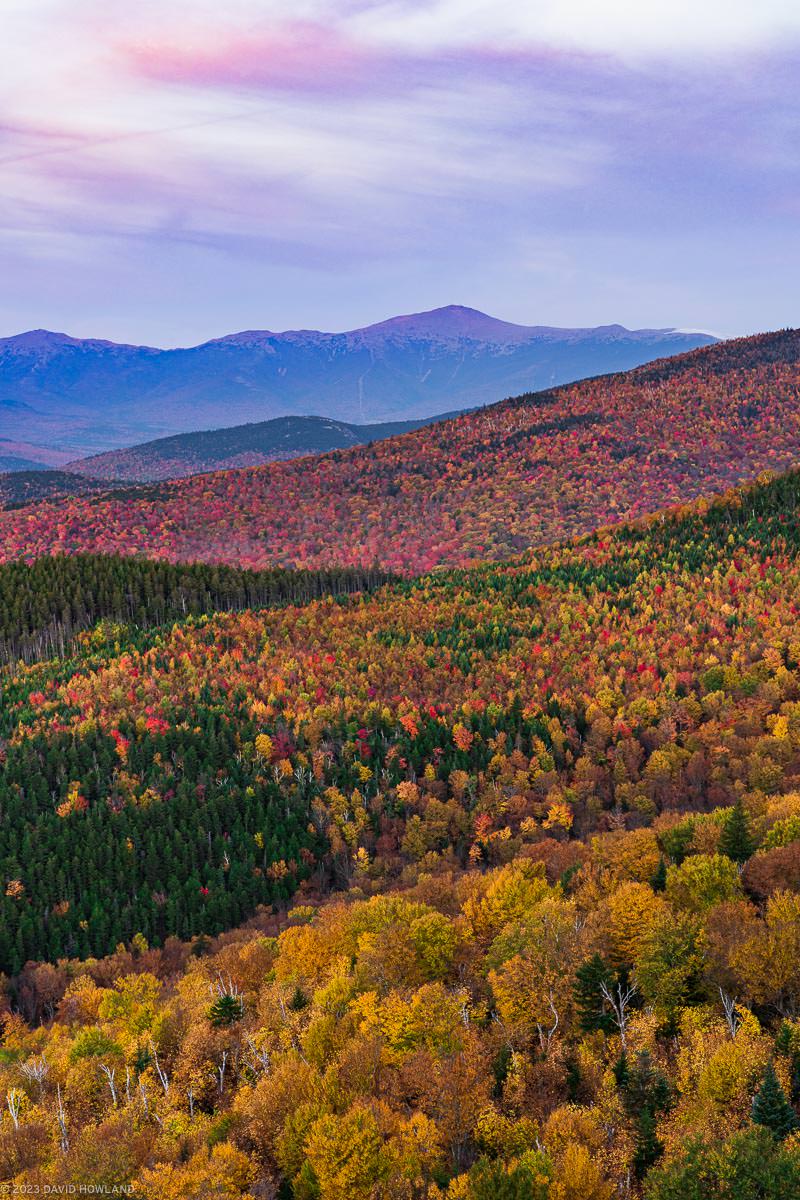 This landscape photograph captures a sweeping view of New Hampshire's White Mountains during peak fall foliage season, with layers of mountains extending from foreground to background creating a stunning display of autumn colors. The closest slopes are covered in a patchwork of golden yellows, vibrant reds, and oranges, punctuated by dark green evergreens, while the distant Presidential Range rises in misty blue-purple hues against a pastel sky touched with pink and lavender clouds. The composition draws the eye naturally from the detailed autumn foliage in the foreground through successive mountain ridges to the highest peaks, emphasizing both the grand scale of the landscape and the rich diversity of New England's fall colors.