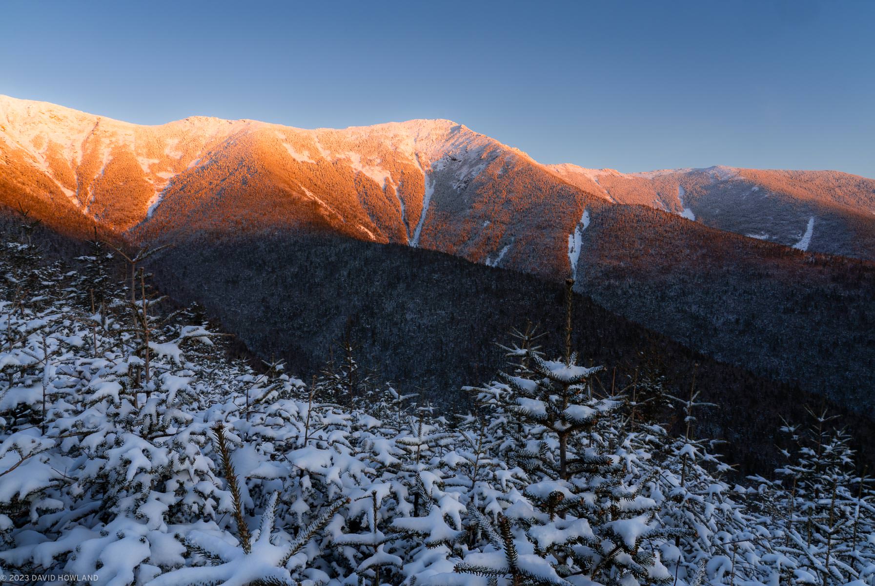 The image shows a winter mountain landscape at sunset or sunrise, with snow-covered evergreen trees in the foreground and mountains in the background. The peaks are illuminated with warm orange-pink alpenglow on their upper slopes, contrasting with shadowed, darker lower slopes. Snow blankets the evergreen branches in the foreground, creating a detailed texture of white against the dark green needles. The sky is a clear, deep blue, and there are landslide paths visible as vertical white lines down the mountainside. The image captures the dramatic interplay of light and shadow typical of winter mountain photography.