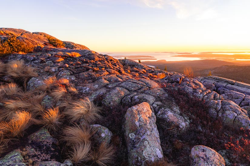 A stunning golden-hour landscape photograph captures Pemetic Mountain in Acadia National Park at sunset, where textured granite rocks and tufts of amber grasses in the foreground are bathed in warm orange light, while the vast panorama beyond reveals a tranquil patchwork of islands, bays, and distant hills dissolving into a soft pastel horizon where land meets sky.