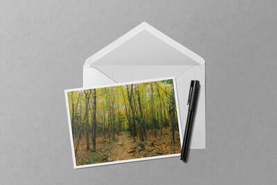 Notecard preview