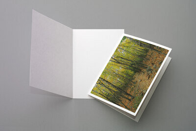 Notecard preview