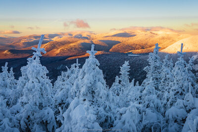 A winter mountain landscape at sunrise shows frost-covered evergreen trees in the foreground with distant mountain peaks bathed in warm golden alpenglow light against a pale blue sky.