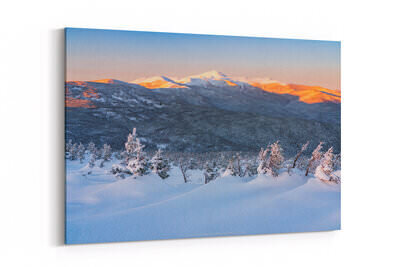 Canvas preview