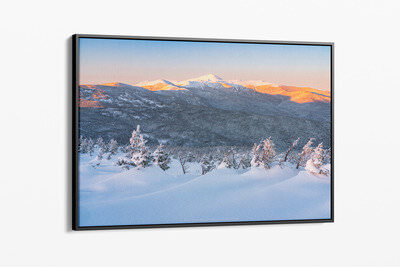 Framed canvas preview