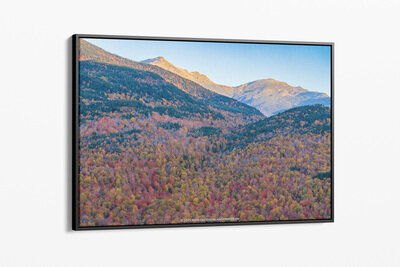 Framed canvas preview