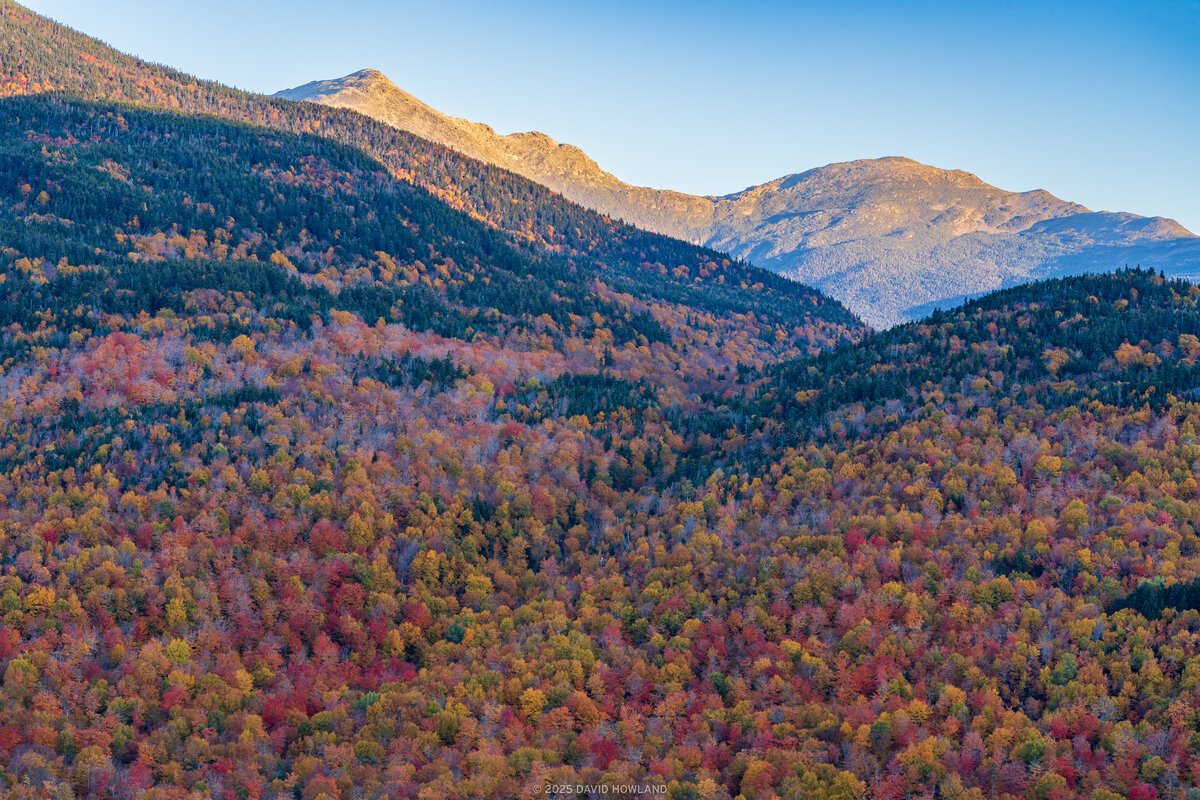 A mountain landscape photo of the Presidential Range in autumn, with vibrant fall foliage in reds, oranges, and yellows covering the forested slopes below rocky peaks lit by golden morning light.