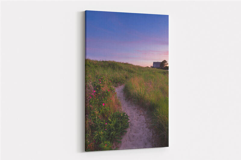 A sandy footpath winds through coastal dune grass and vibrant pink beach roses on the dunes of Forest Beach in Chatham, Cape Cod, leading toward a traditional gray-shingled cottage beneath a soft purple and rose-tinted sunset sky.