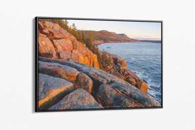 Framed canvas preview