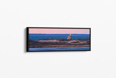 Framed canvas preview