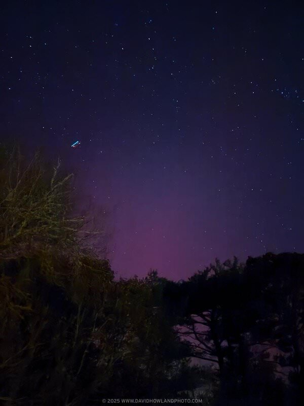 The aurora borealis is faintly visible as a pink and purple glow on the horizon over some trees.