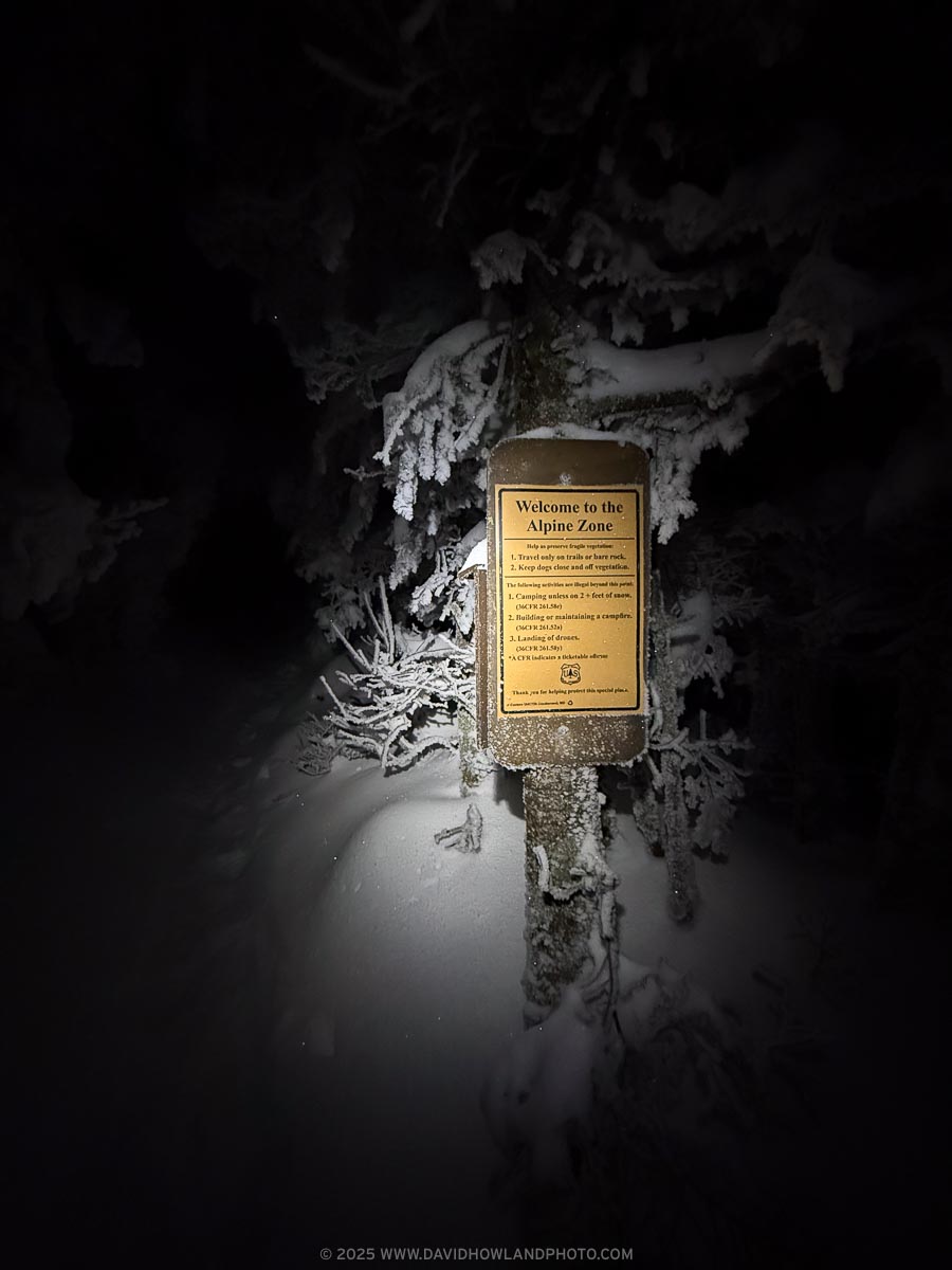 A U.S. Forest Service sign reading Welcome to the Alpine Zone and mounted on a frost-covered tree post is illuminated by my headlamp against a dark winter night, surrounded by snow-laden evergreen branches and deep snow on the ground.
