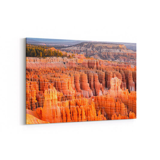 A photo of the hoodoo rock towers at Bryce Canyon National Park lit up bright orange at sunrise