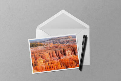 Notecard preview