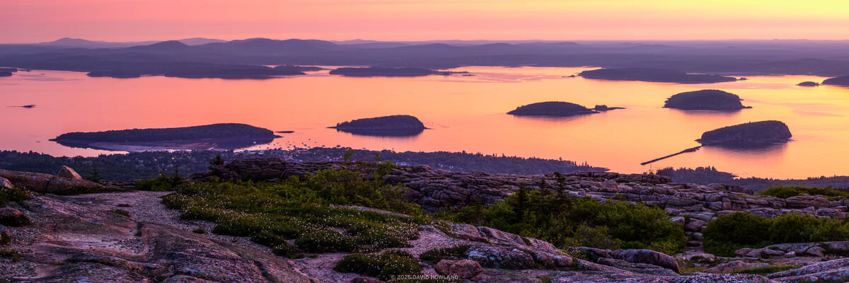 A panorama photo of the sun rising over the calm waters of Frenchman Bay, the coastal town of Bar Harbor, and the wildflowers at the granite summit of Cadillac Mountain in Acadia National Park