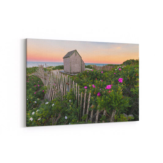 A weathered wooden beach shack sits among lush beach rose bushes blooming in pink and white, framed by a leaning driftwood fence with calm ocean water and a soft pink-orange sunset sky behind it at Forest Beach in Chatham, MA.