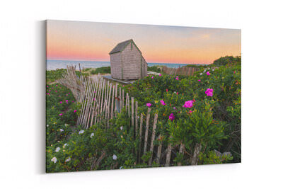 Canvas preview