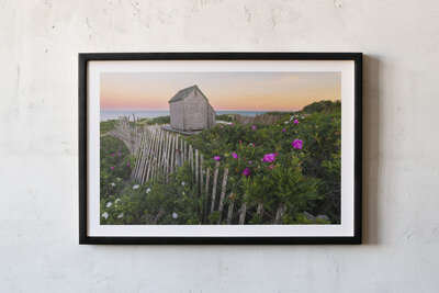 Framed print preview