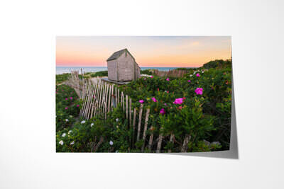 Fine art print preview