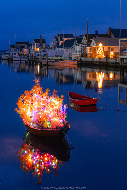 A small dinghy decorated with a multicolored illuminated Christmas tree topped with a star floats in calm blue harbor water at twilight, with a red dinghy and waterfront homes with holiday lights reflected in the background.