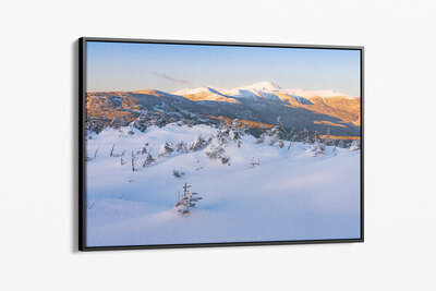 Framed canvas preview