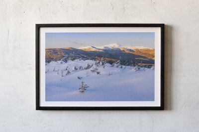 Framed print preview