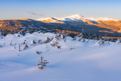 A sweeping dusk view of the Southern Presidential Range, with a vast snow-covered alpine foreground dotted with small frost-covered conifers giving way to forested slopes bathed in warm golden light, and Mount Washington's snow-capped summit rising prominently against a clear pale blue sky in the distance, with Mounts Pierce, Eisenhower, and Monroe also visible along the ridge.