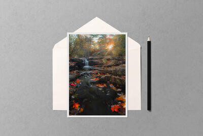 Notecard preview