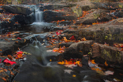 A photo of a waterfall in Acadia National Park at sunset covered in bright red leaves