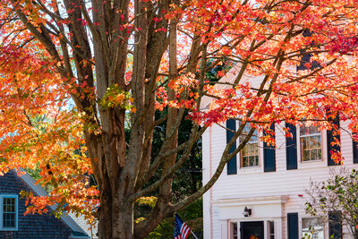 A large tree with brilliant red and orange autumn foliage stands in front of a white colonial home with black shutters and a fall wreath on the door. A white picket fence borders the property, with fallen leaves covering the ground and lawn.