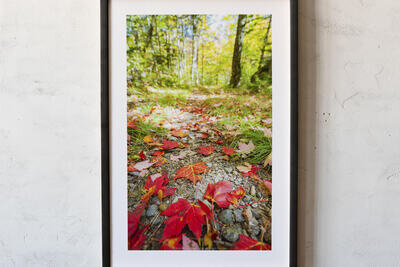 Framed print preview