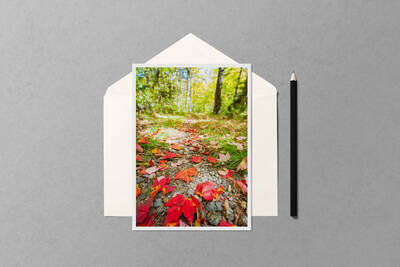 Notecard preview