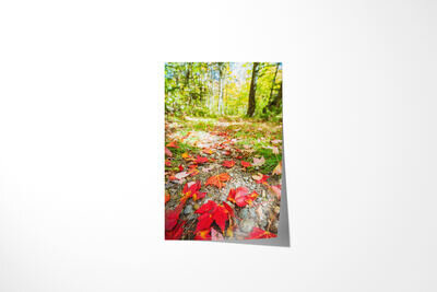 Fine art print preview