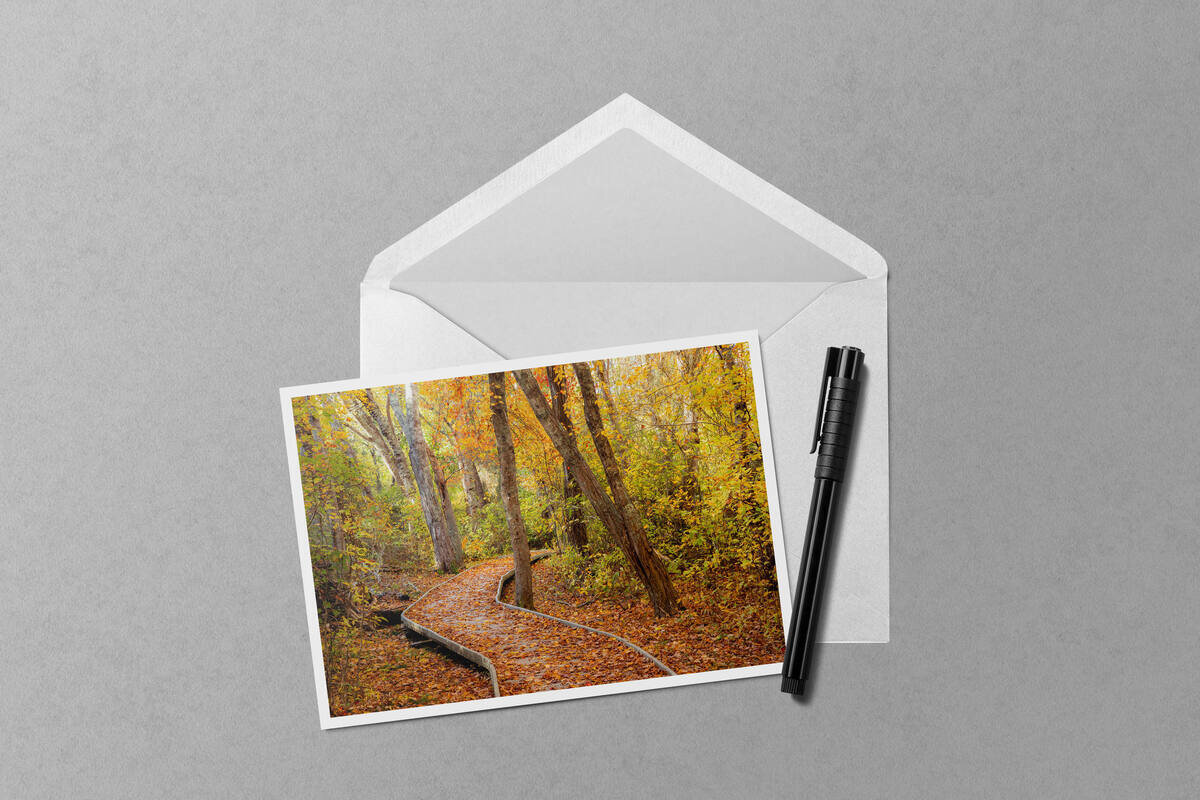 Fall on the Red Maple Swamp Trail notecard mockup