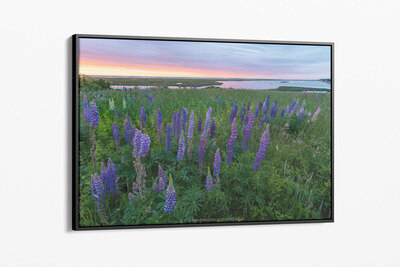 Framed canvas preview