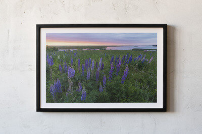 Framed print preview