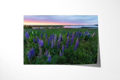 Fine art print preview