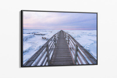 Framed canvas preview