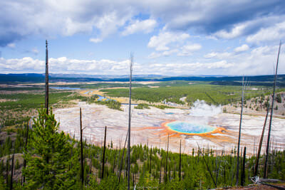 A photo of the colorful hot springs of Grand Prismatic Sping in Yellowstone National Park seen from above on a nearby ridgeline.
