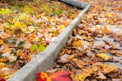 A wooden boardwalk with a gray railing curves through a forest, its surface covered in fallen autumn leaves. A bright red and orange maple leaf lies prominently in the foreground among brown and yellow leaves, with blurred trees visible in the background.