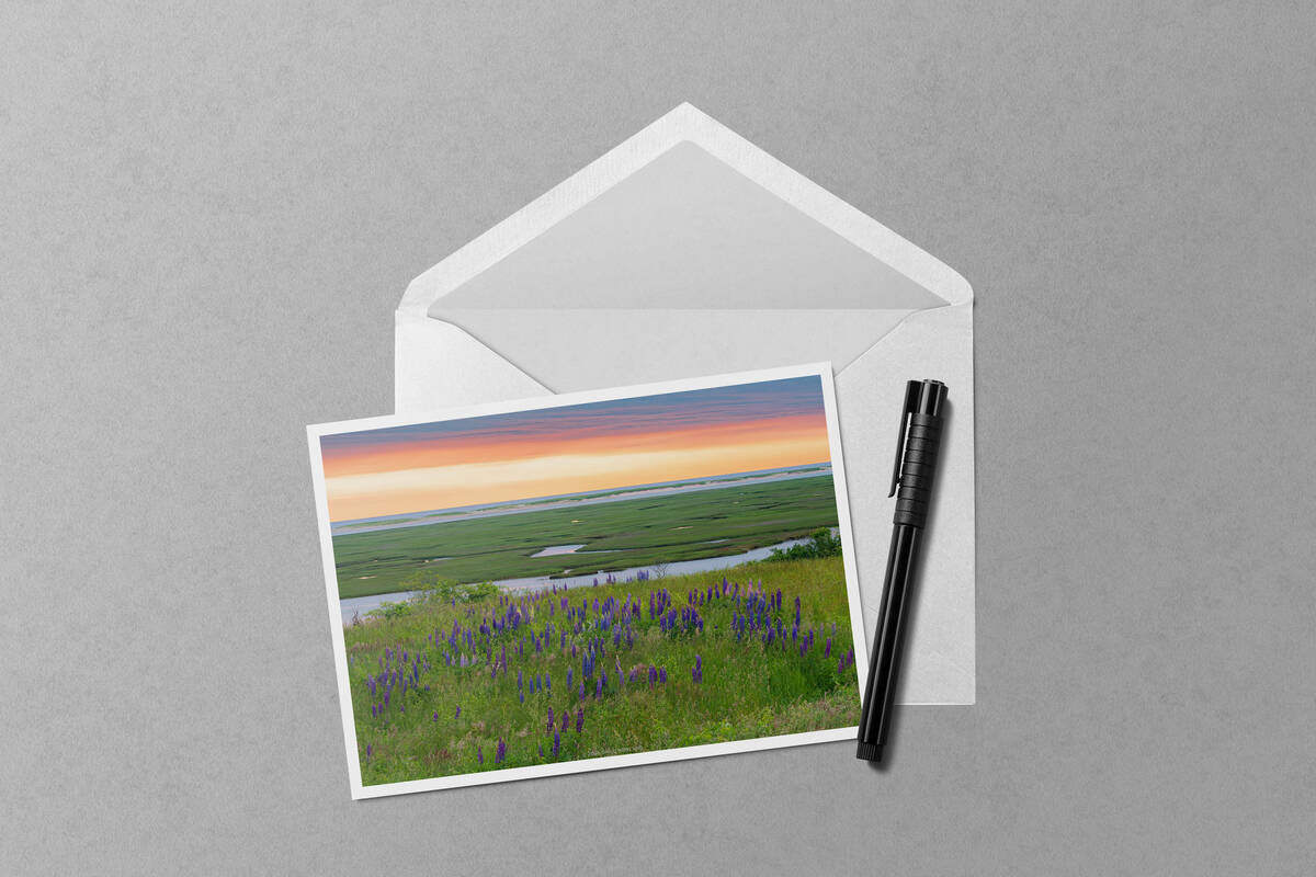 Lupine Salt Marsh Sunrise notecard mockup