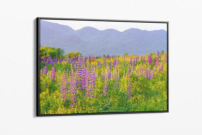 Framed canvas preview