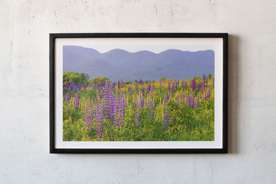 Framed print preview
