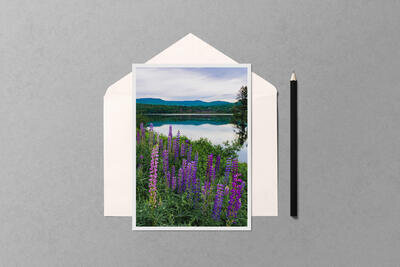 Notecard preview