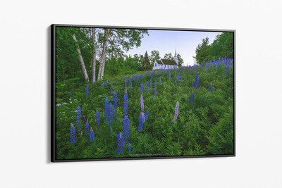 Framed canvas preview