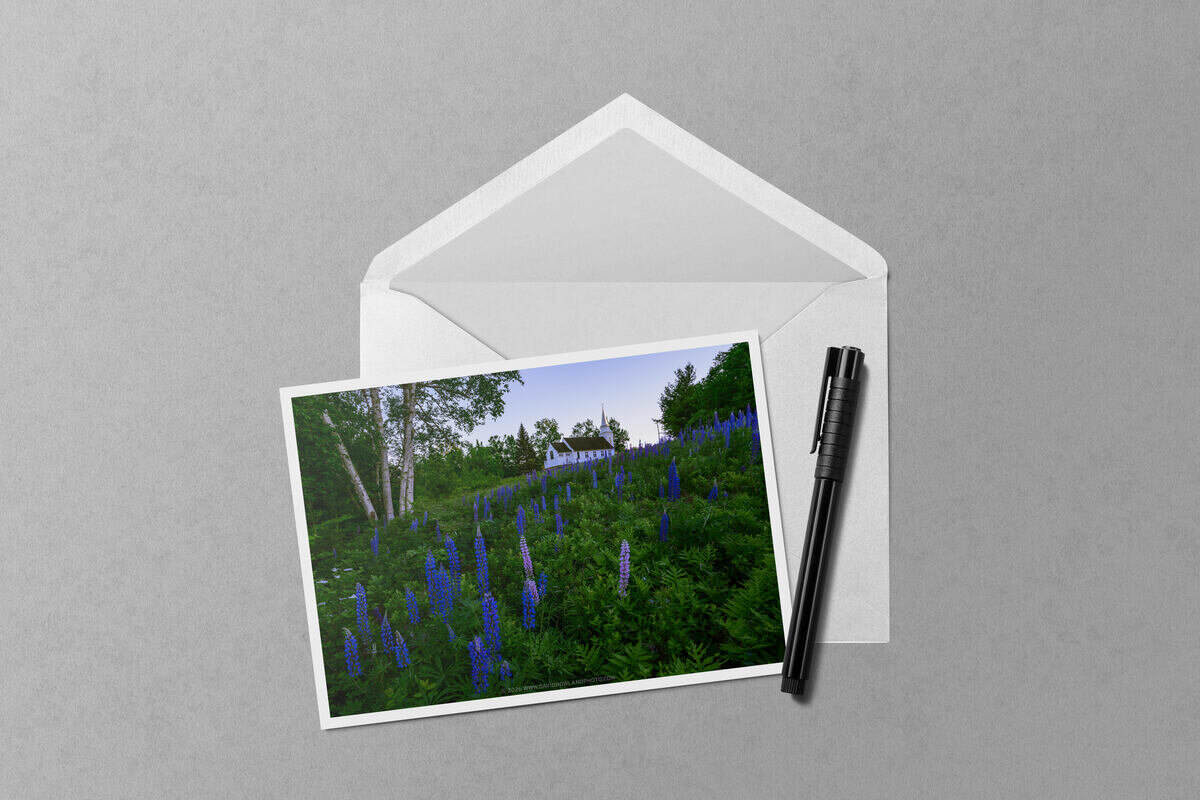 Lupines at St Matthew's Chapel notecard mockup