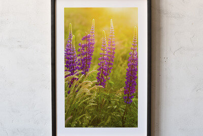 Framed print preview